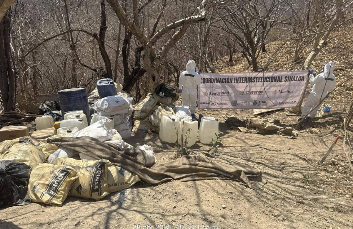 Desmantelan laboratorio clandestino en Sinaloa