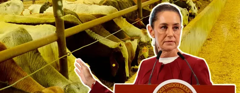 Sheinbaum se pronuncia contra bloqueo de EE. UU.: “No hay justificación”