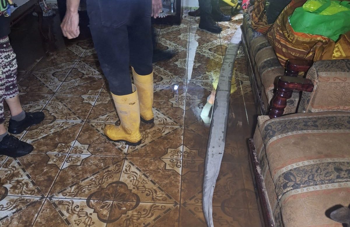 Granizada causa severas inundaciones en Guadalupe de Trujillo: 10 viviendas afectadas