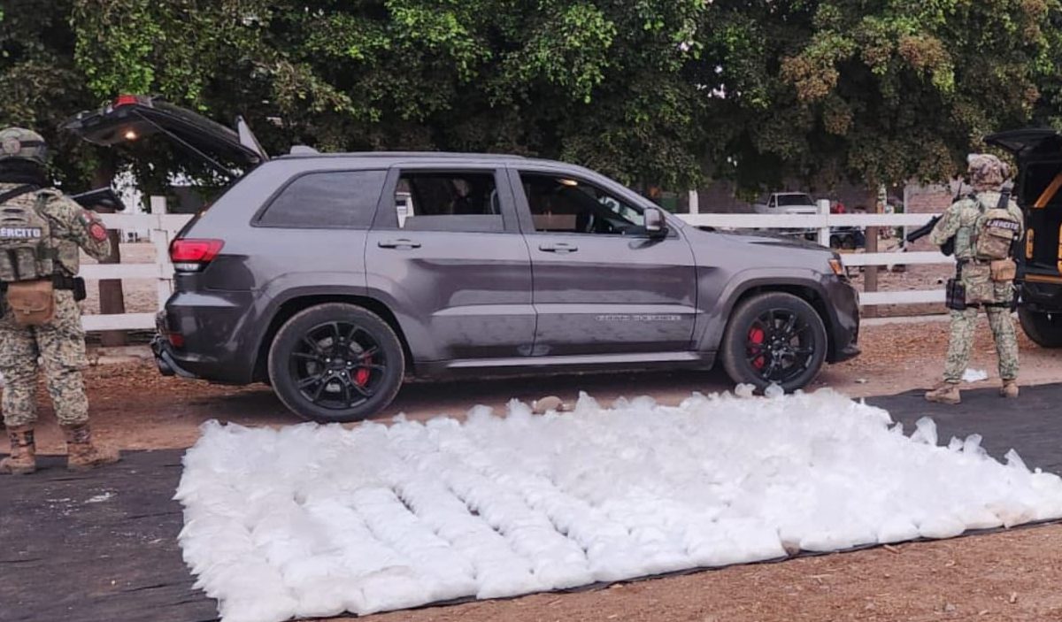 Golpes millonarios al narco: aseguran droga oculta en costales de cebolla y más de dos toneladas de marihuana