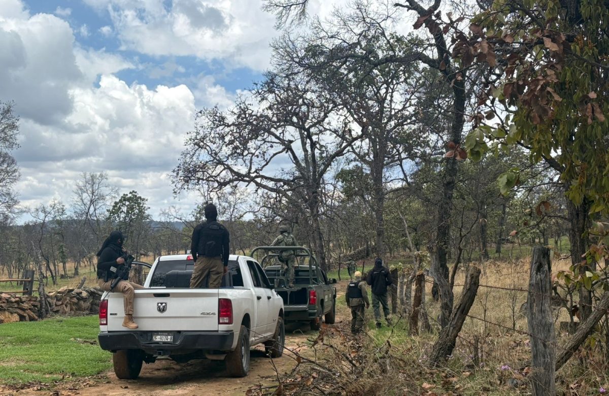Realizan autoridades búsqueda forense en Florencia