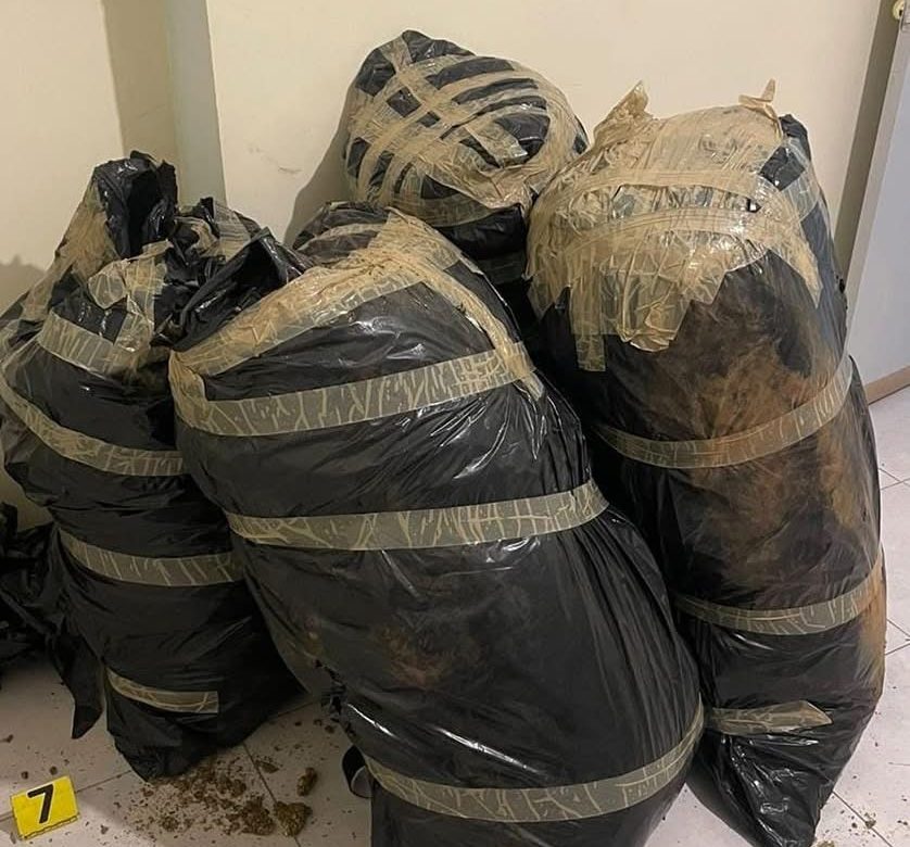 ¡Golpe al narcomenudeo en Guadalupe! Aseguran más de 160 kilos de marihuana en casa-bodega