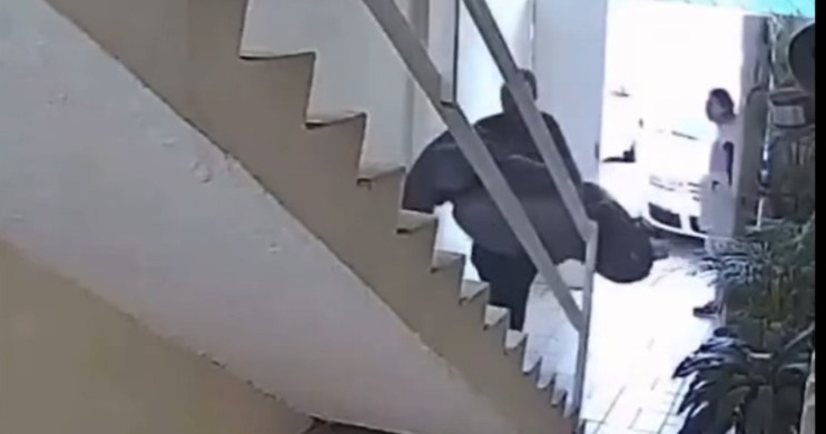 Feminicidio en León: Localizan sin vida a Lorena Morales; su jefe es el principal sospechoso