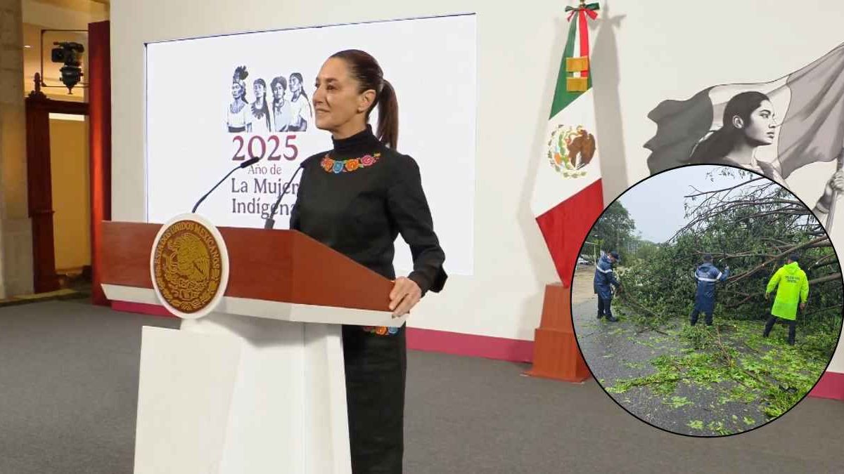 Sheinbaum viaja a Oaxaca para coordinar apoyo tras paso del huracán «Erick»