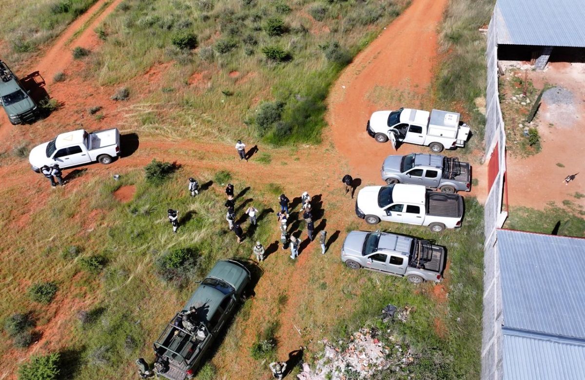 Emprenden autoridades estatales búsquedas forense y en vida, en Guadalupe