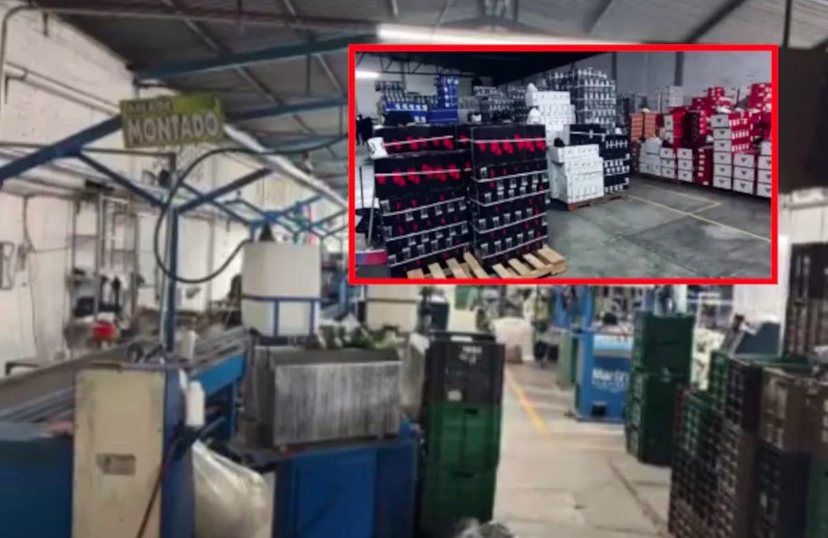 Desmantelan fábricas clandestinas de zapatos pirata en Guanajuato