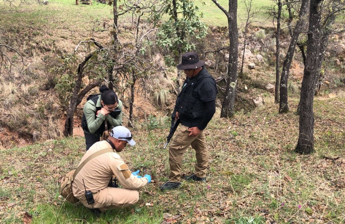 Buscan gobiernos de México y de Zacatecas a personas desaparecidas, en tres municipios