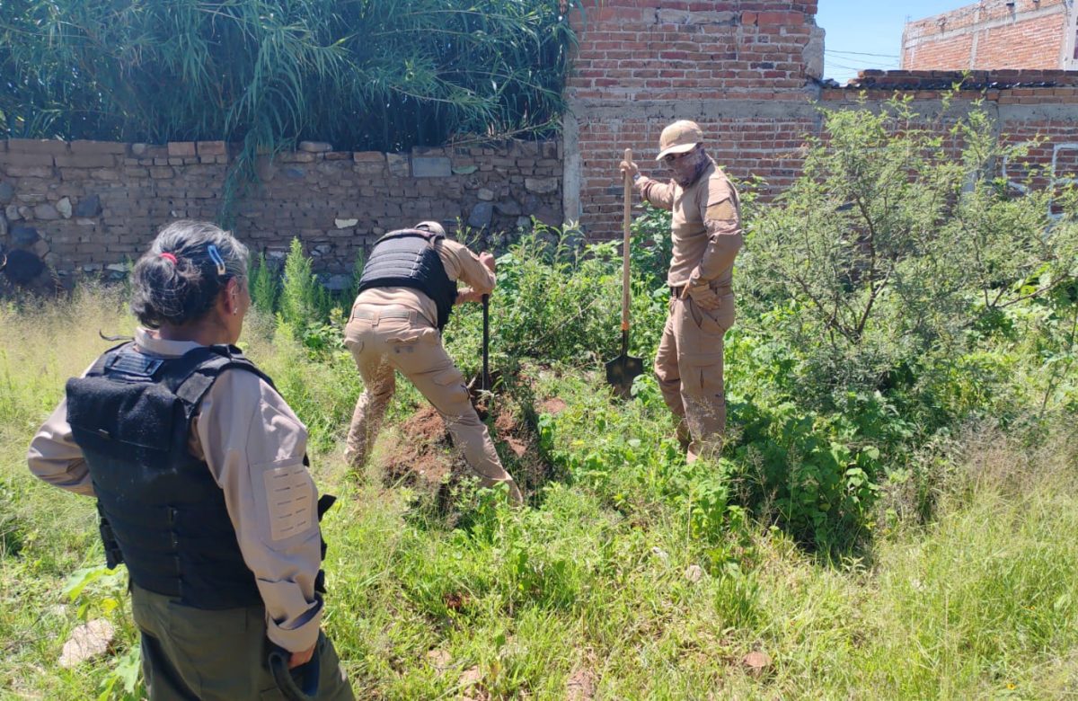 Realizan autoridades estatales búsquedas generalizada y en vida en Cuauhtémoc y Ojocaliente