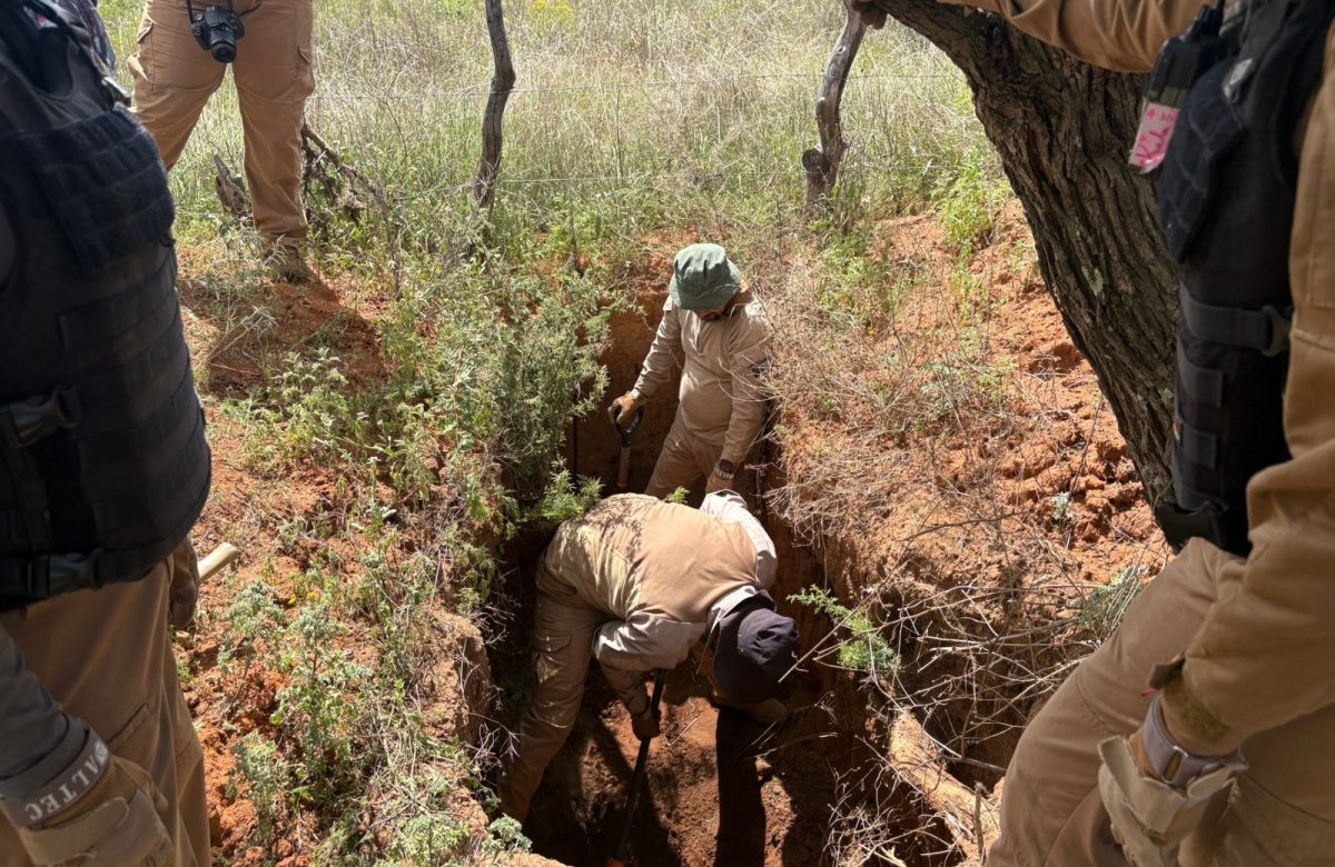 Gobierno de Zacatecas y Fiscalía General de Justicia realizan búsquedas de personas en Genaro Codina