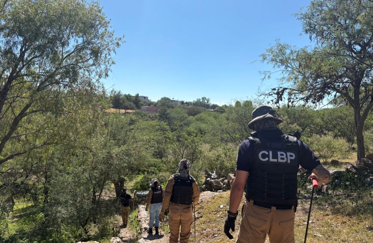 Realizan autoridades y colectivos búsqueda forense en Villanueva