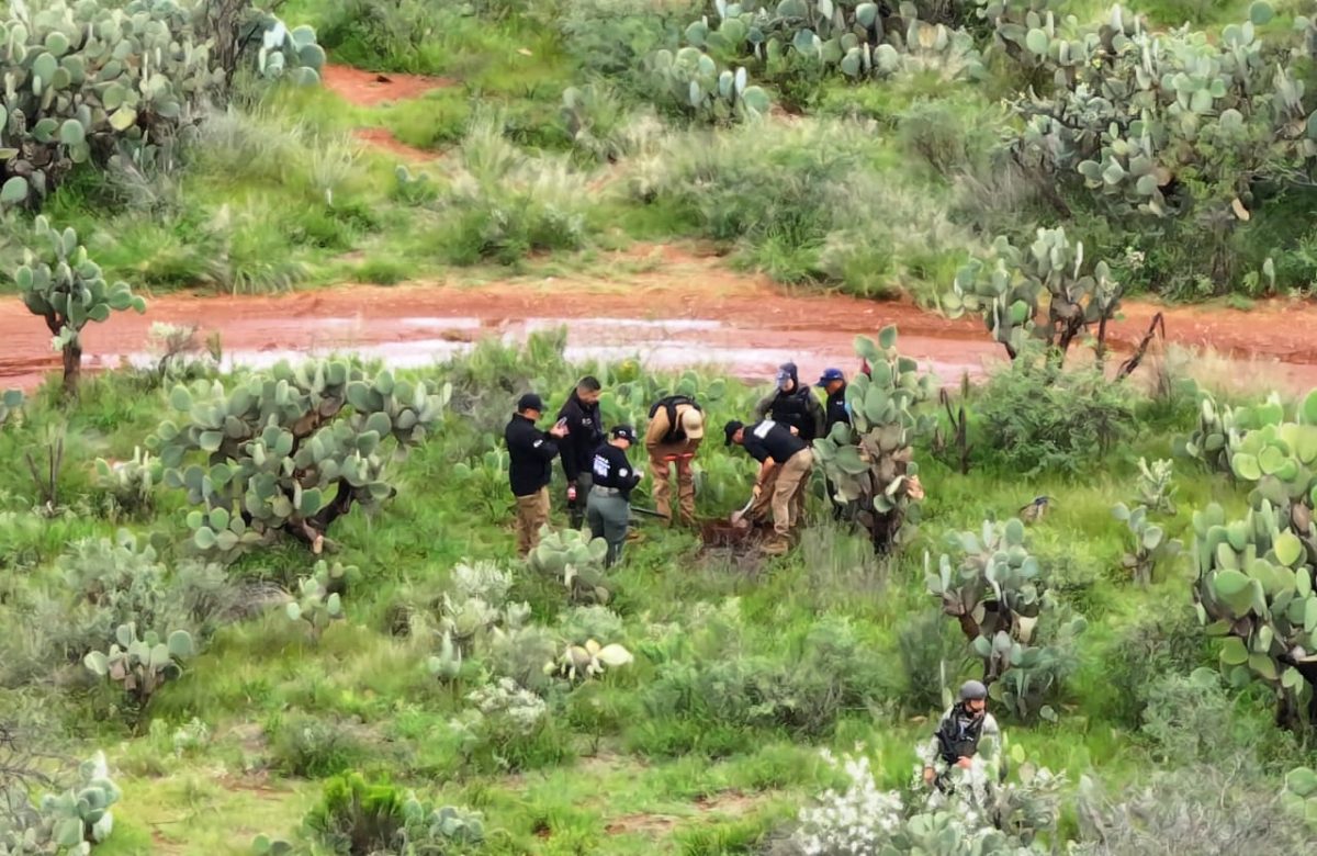 Operativo en Trancoso: autoridades refuerzan búsqueda de desaparecidos