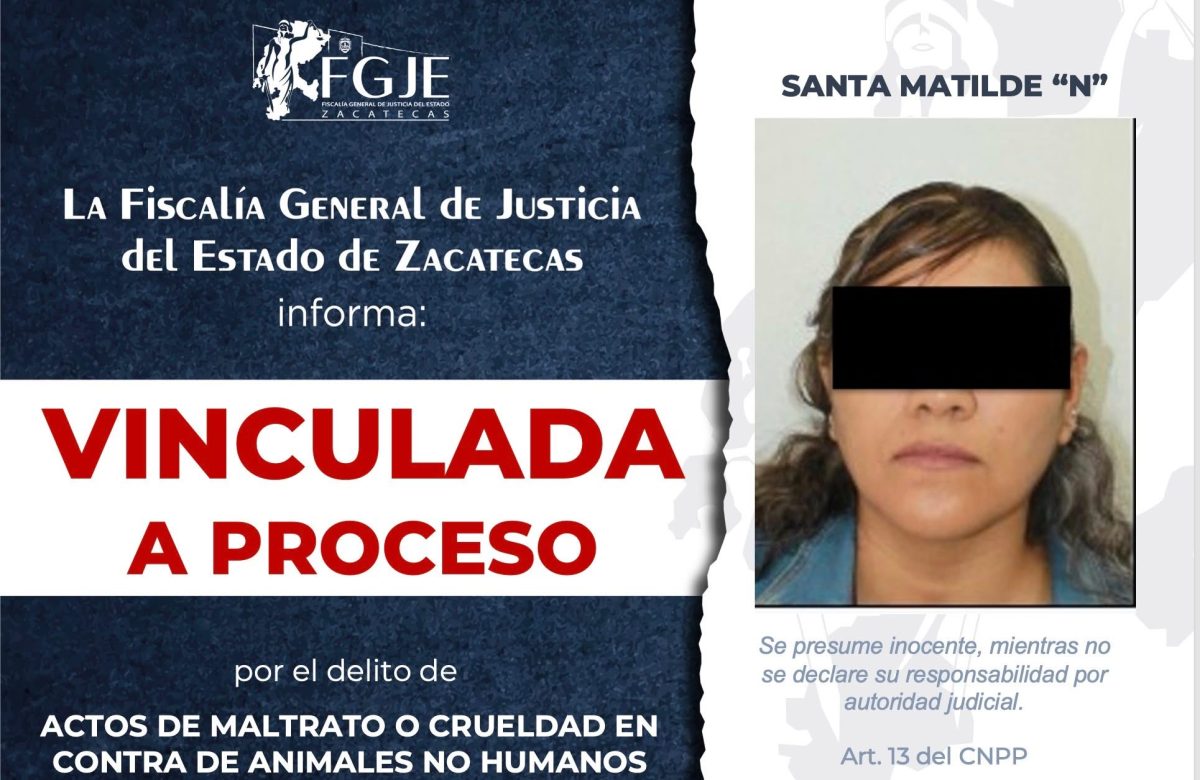 Vinculan a proceso a mujer por matar a un gato en Fresnillo