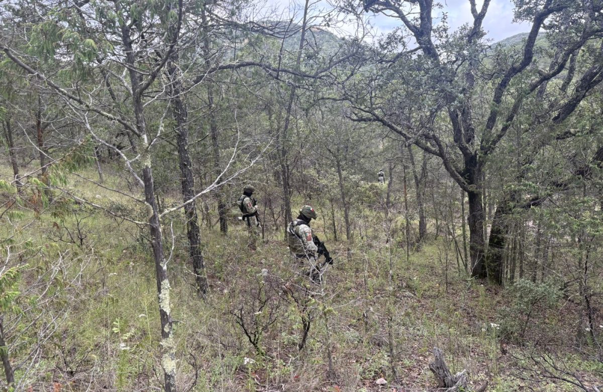 Encuentran restos humanos durante búsqueda forense en Jerez