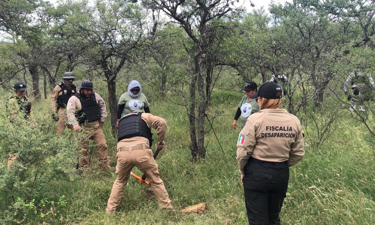 Madres buscadoras logran avance en Tepetongo: localizan indicios durante nueva jornada de búsqueda