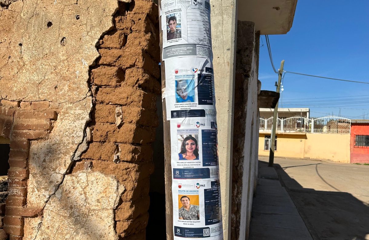 Hallan restos óseos durante búsqueda de personas desaparecidas en Guadalupe