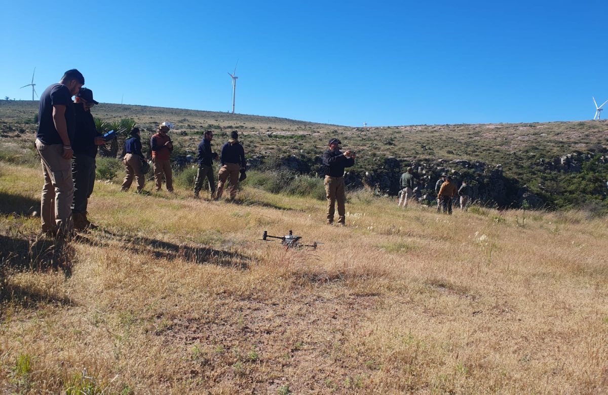 Autoridades estatales y federales continúan con las acciones de búsqueda de personas en Zacatecas y Cuauhtémoc
