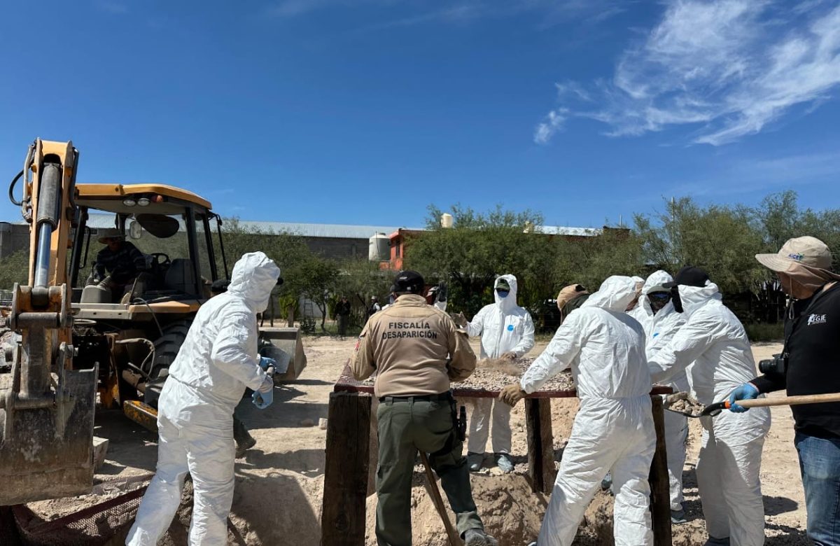 Hallan restos óseos durante búsqueda forense en Río Grande
