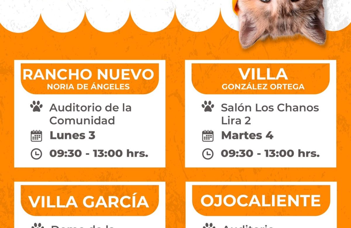 SSZ impulsa el bienestar animal con cirugías gratuitas de esterilización en varios municipios