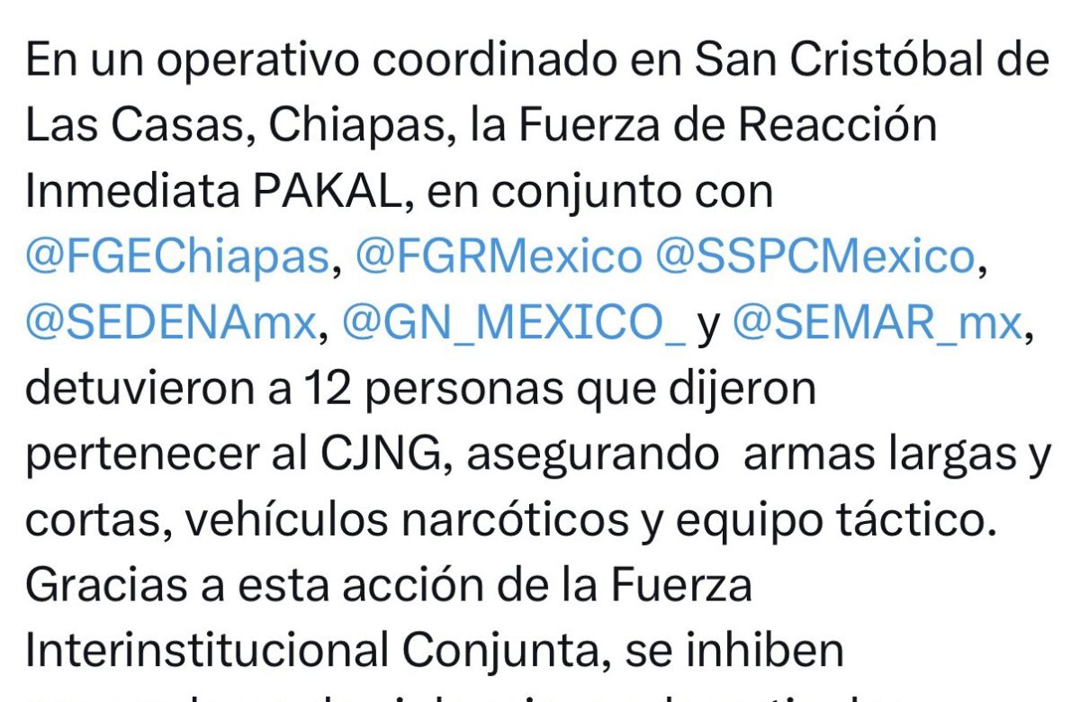 Detienen a 12 integrantes del CJNG