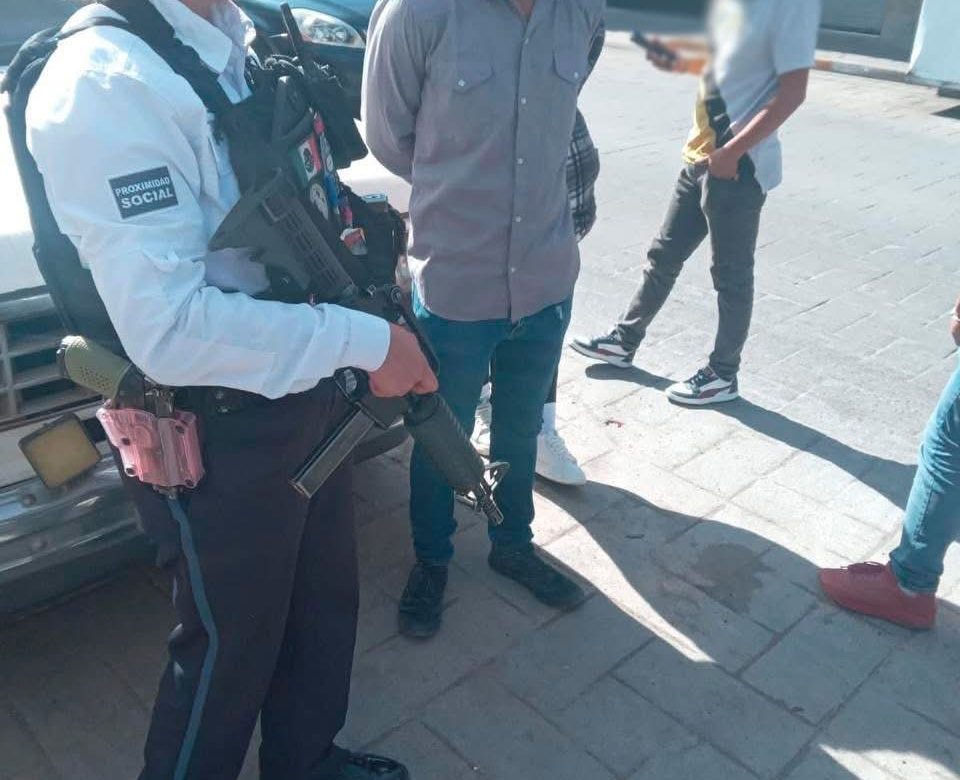 Conductor de transporte público es arrestado por atropellar a un perro en Avenida Plateros
