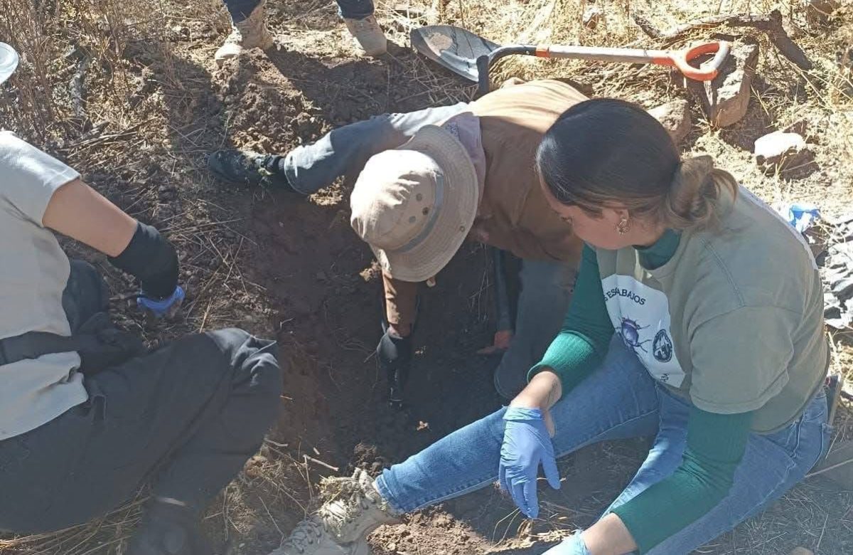 Madres Buscadoras localizan fosa clandestina con restos humanos en Tepetongo