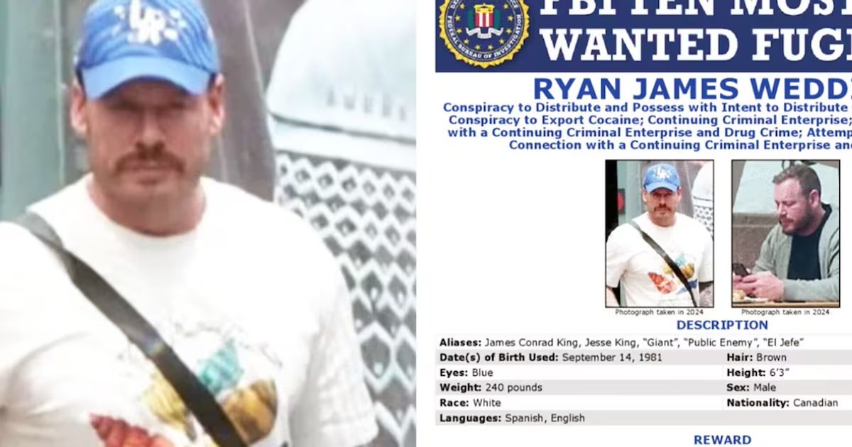 Arrestan a Ryan Wedding