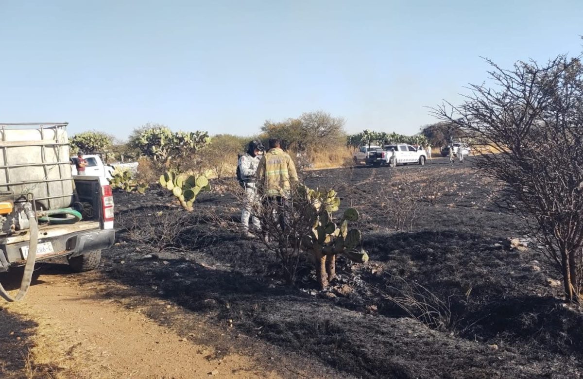 Incendio consumió más de 50 hectáreas de pastizal en La Zacatecana