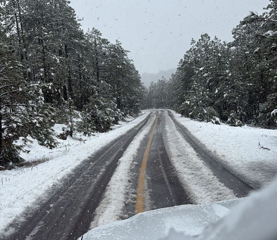 Interrumpe CFE suministro por fuertes nevadas