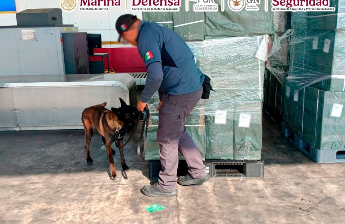 Golpe al tráfico ilegal de tabaco en el AICM