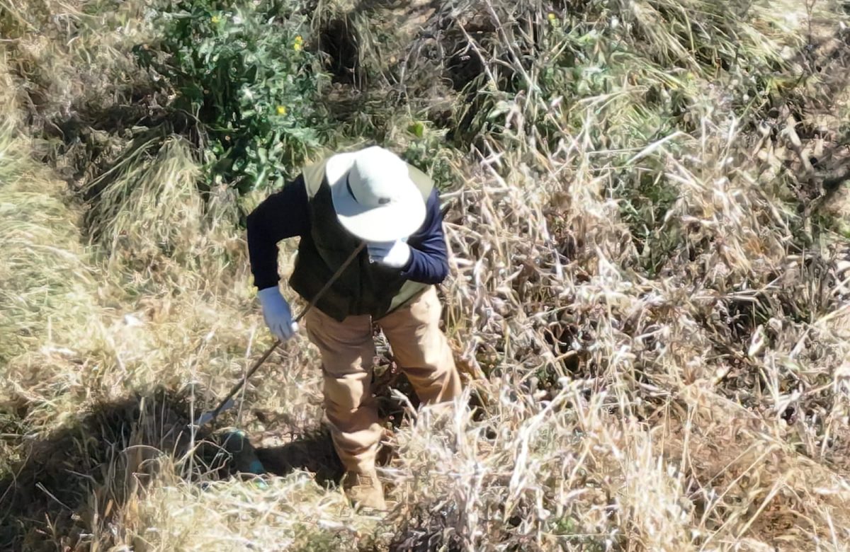 Realizan autoridades estatales búsqueda de campo en Río Grande