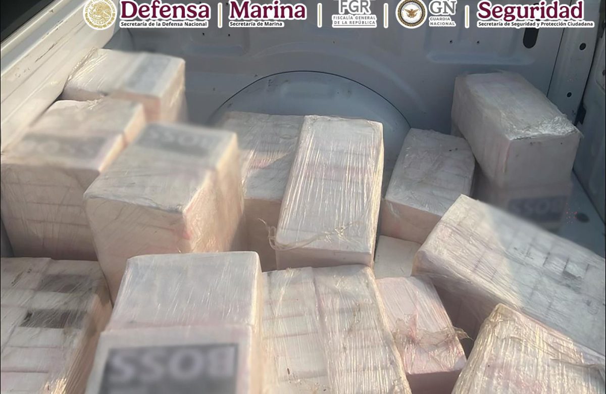 Decomisan una avioneta, dos camionetas y más de 500 paquetes con droga