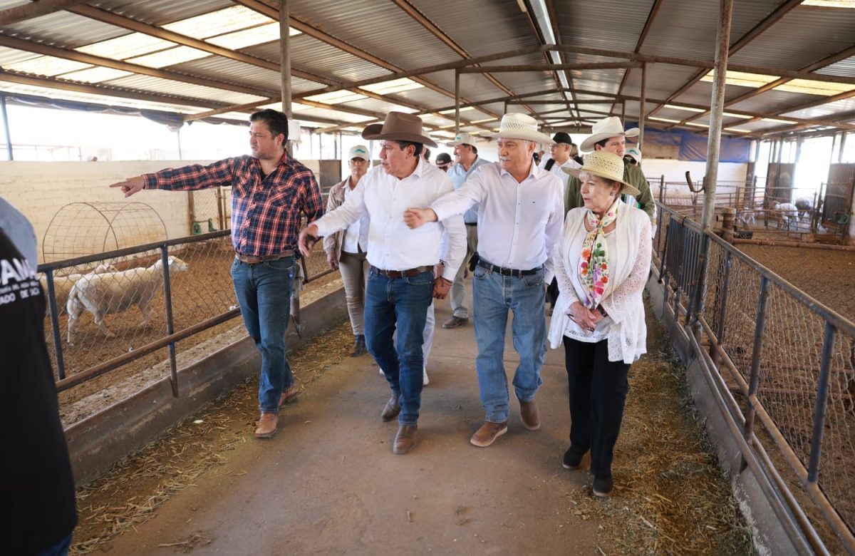 David Monreal y Alicia Bárcena recorren proyectos para cuidar el agua y fortalecer el campo en Zacatecas