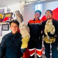 Rescatan a tres crías de búho en bodegas abandonadas de Río Grande