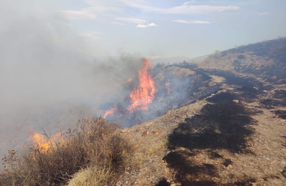 Voraz incendio arrasa 20 hectáreas de pastizal