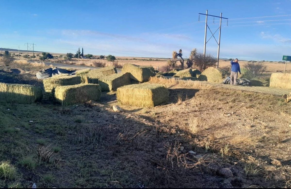 Tráiler cargado con alfalfa se sale de la carretera rumbo a Río Grande