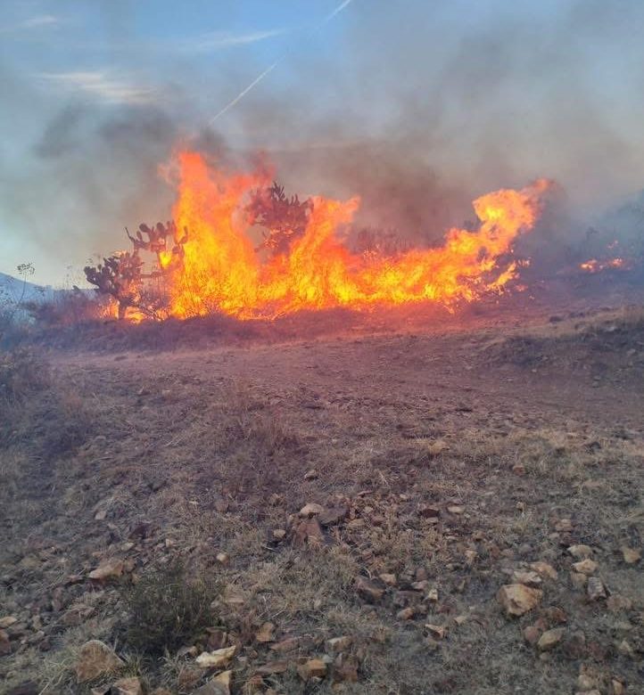 Alerta por incendios en la ciudad: brigadas trabajan en Ecoparque y zona de Galerías