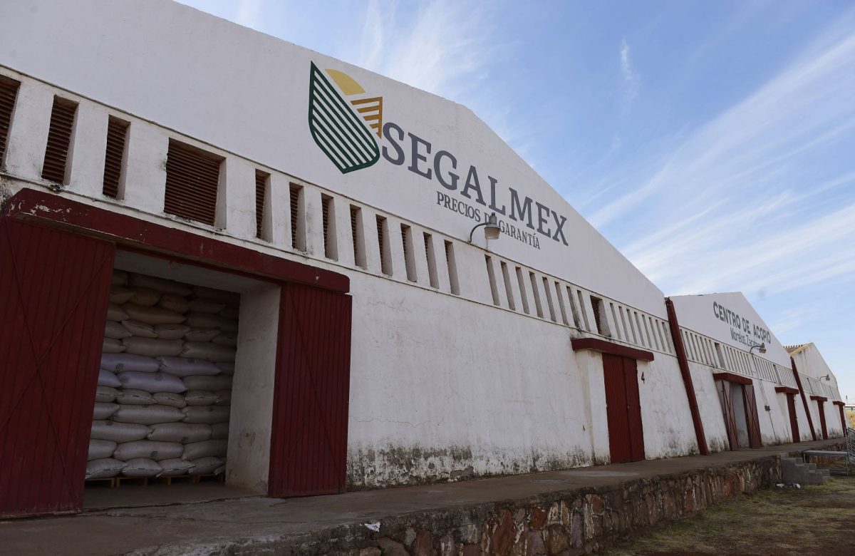 El fraude de Segalmex alcanza a Zacatecas: investigan desvío de millones