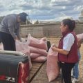 ¡Atención productores! Ya abrieron ventanillas para apoyo en semilla de frijol en Zacatecas
