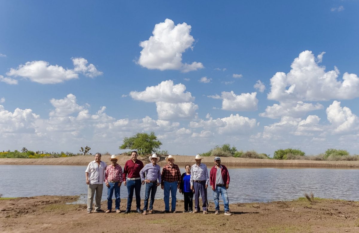 Impulsan rehabilitación de más de 40 bordos para fortalecer el campo en Guadalupe