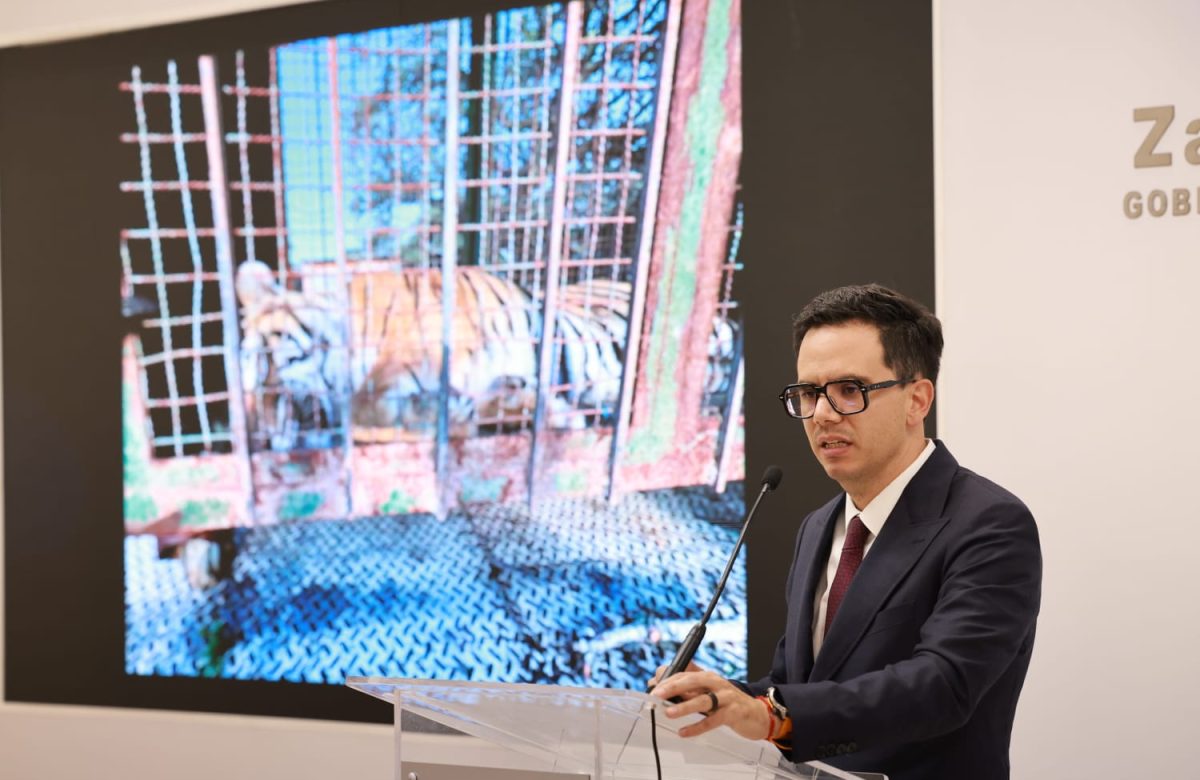 Operación Rastrillo: aseguran tigre de Bengala, detienen a 16 personas y avanzan investigaciones por violencia del 18 de julio